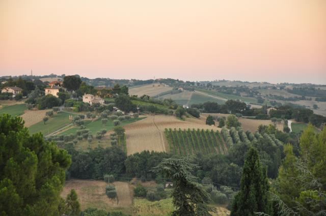min 2010 08 01 ostra 100